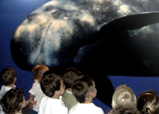 Niños en el Museo de Cetáceos de Canarias, Puerto Calero, Lanzarote
