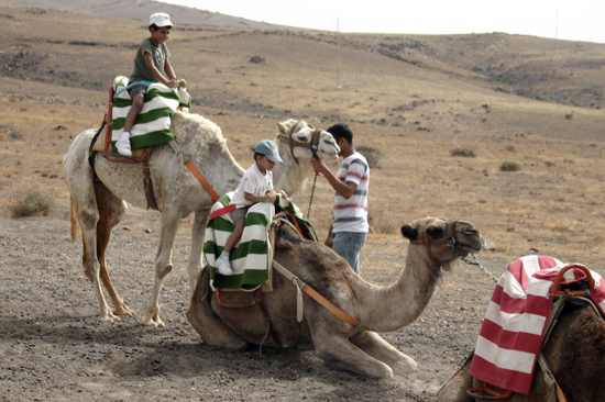 Excursiones a caballo en Lanzarote, alrededores de La Geria, Lanzarote a Caballo, Lanzarote
