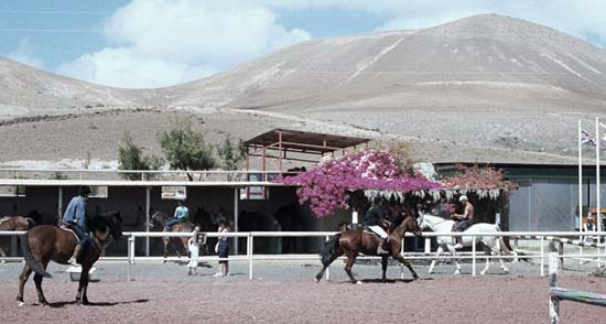 Clases de adultos de equitación en Lanzarote
