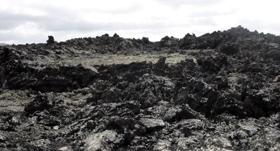lavaconliquen-lanzarote