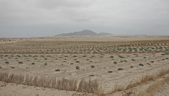 rutadeljable-tiagua-famara