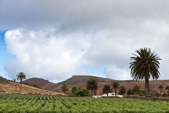Vistas de Haría desde El Bosquecillo, senderismo en Lanzarote