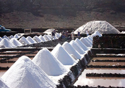 Proceso de producción de sal en Salinas de Janubio, Lanzarote