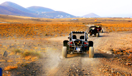 Excursiones en Buggy