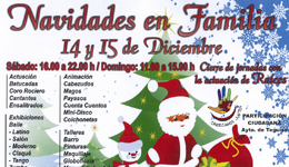 Navidades en familia