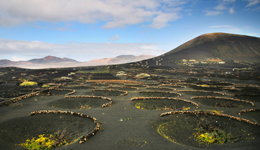 El paisaje protegido de La Geria recibe el Premio Paisaje Cultural de Canarias