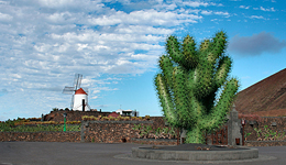 Jardin de Cactus, atraccion turistica en Lanzarote, obra de Cesar Manrique