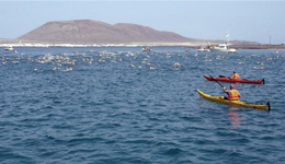 Travesía a nado El río 2014