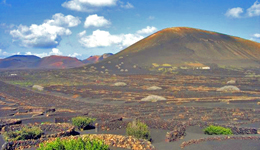Ruta en coche por La Geria, Ruta del Vino en Lanzarote
