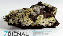 VII Encuentro Bienal Arte Lanzarote 2013