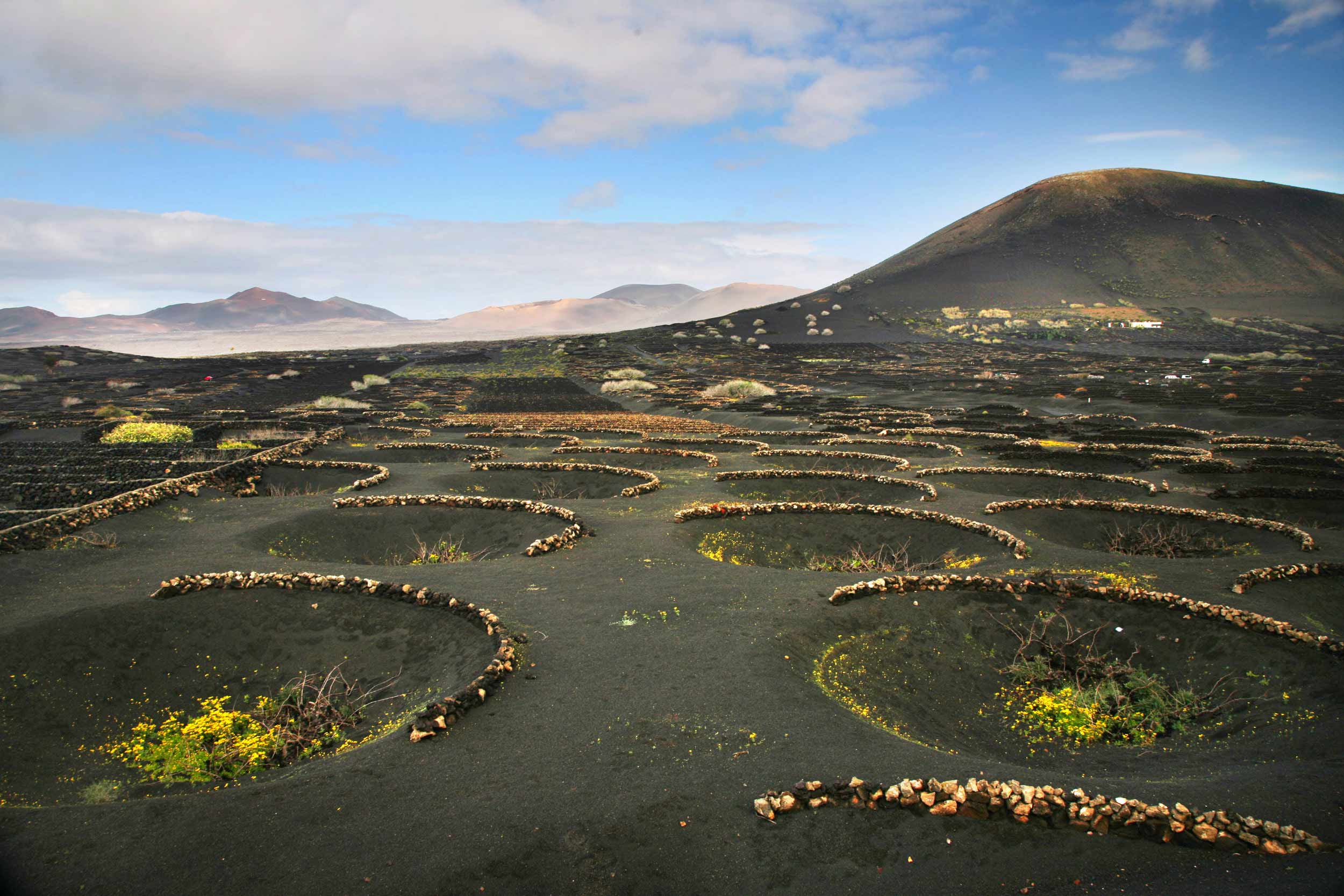 El paisaje protegido de La Geria recibe el Premio Paisaje Cultural de Canarias