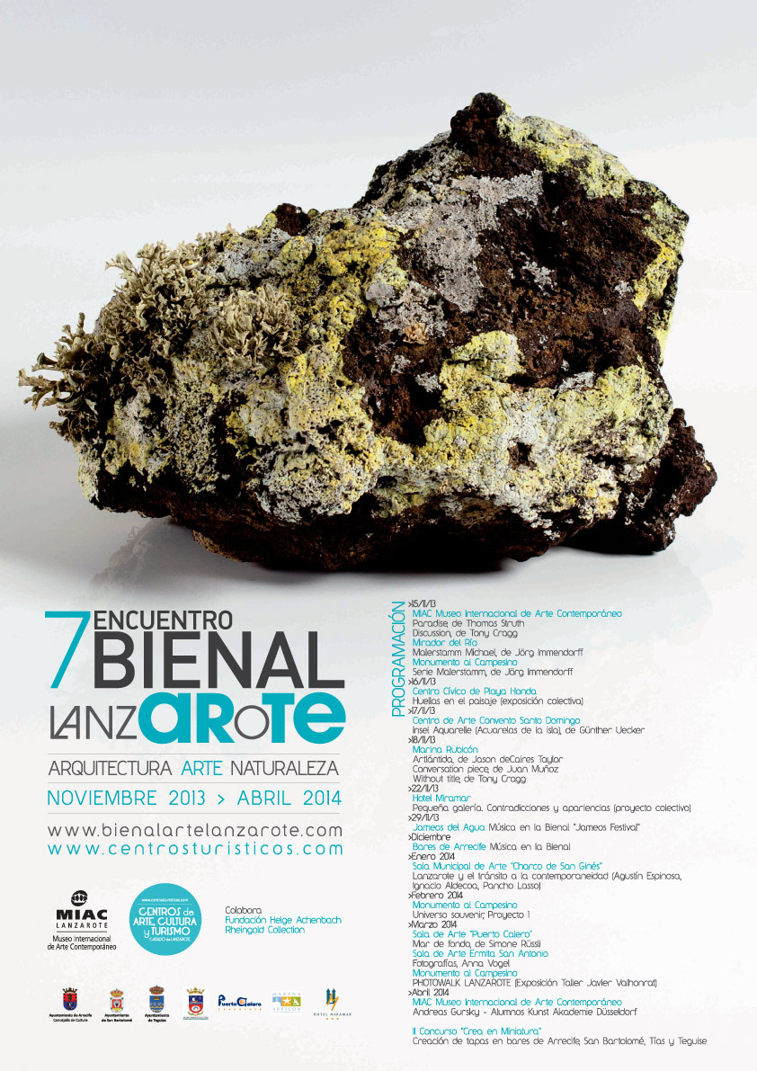 VII Encuentro Bienal Arte Lanzarote 2013