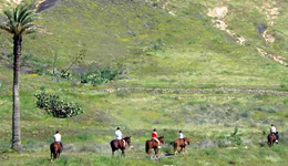 Excursiones para montar a caballo en Lanzarote