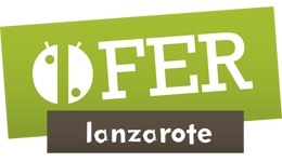 OFERLANZAROTE, la aplicación de búsqueda «Made in Lanzarote»