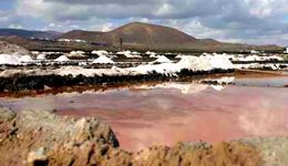 Sendero desde Costa Teguise, pasando por Los Cococteros, hasta Charco del Palo, pueblo nudista