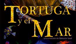 La tortuga y el mar, teatro por Losótroh