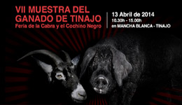 VII Muestra del Ganado de Tinajo
