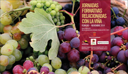 Jornadas formativas sobre la Viña en Lanzarote
