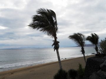 Alerta Canarias fenomenos costeros