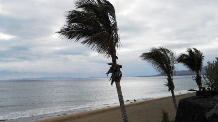 Alerta Canarias fenomenos costeros