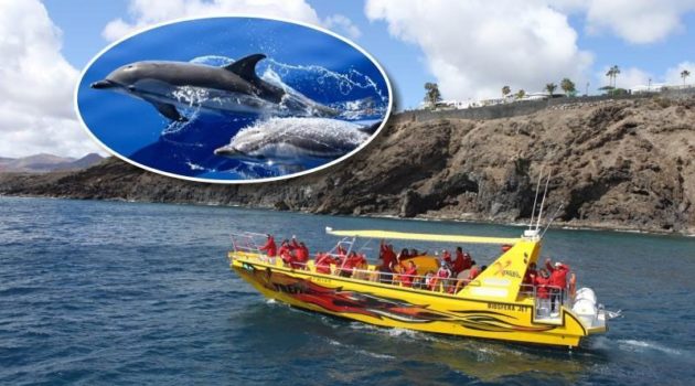 excursion biosfera jet ver delfines en lanzarote