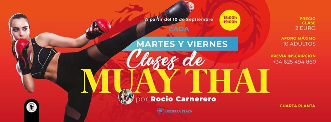 Clases de Muay Thai en CC Biosfera Plaza (Martes y viernes)