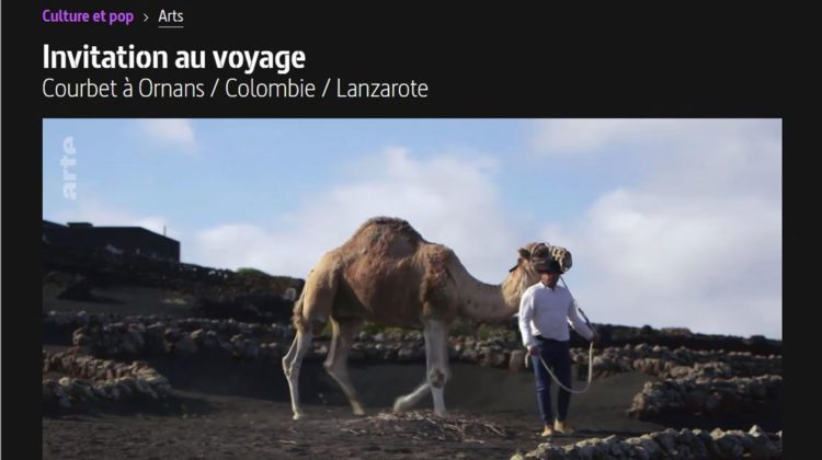 canal arte camellos yaiza