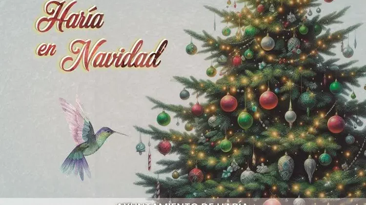 Programa de Navidad y Reyes Haría 2024/2025