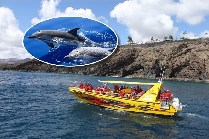 excursion biosfera jet ver delfines en lanzarote