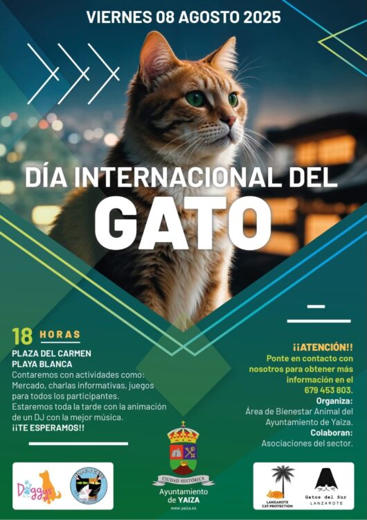Cartel del Día Internacional del Gato 2025 en Playa Blanca, Lanzarote