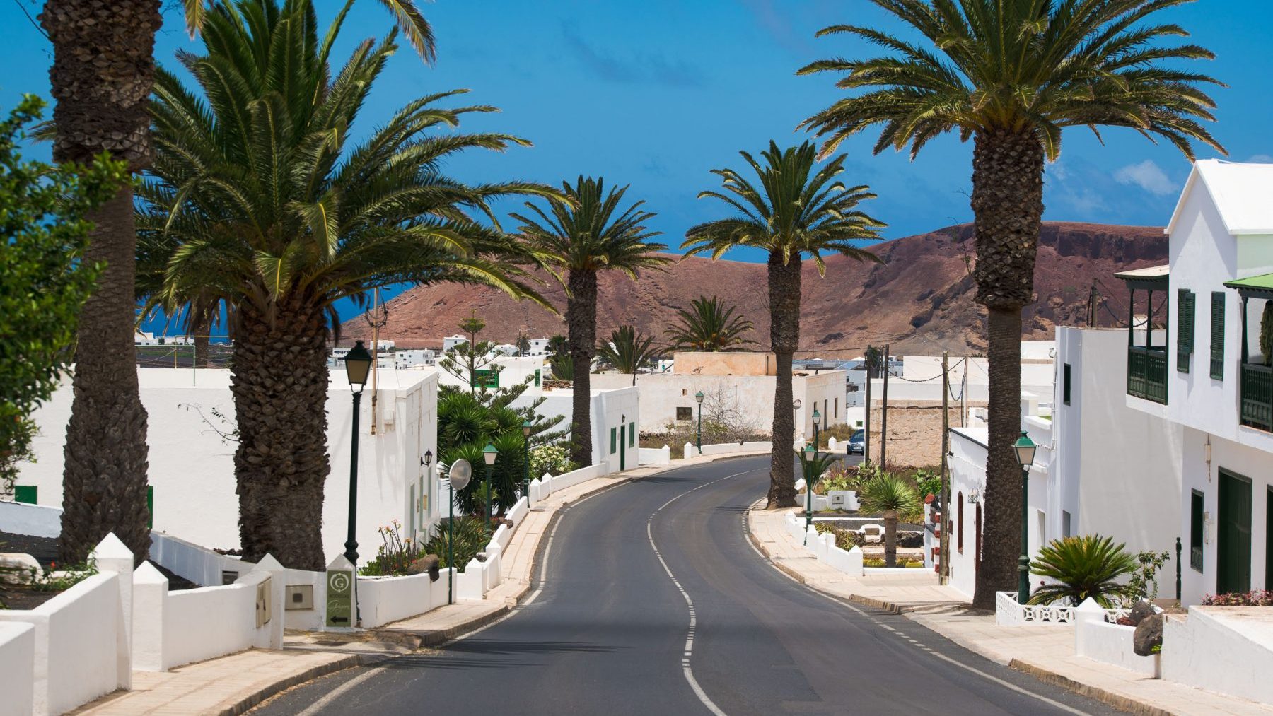 Vista de calle y palmeras en Mala (Haría), escenario de las Fiestas de Las Mercedes, en el norte de Lanzarote.
