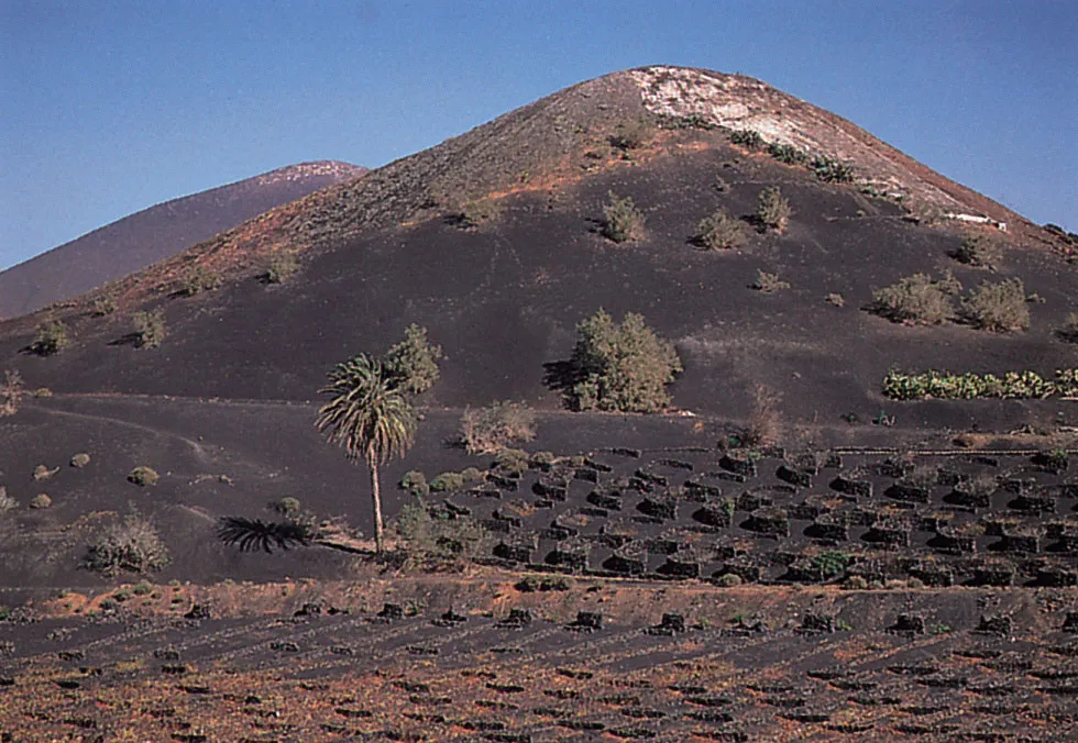 Lanzarote en agosto: tiempo, playas, fiestas y consejos