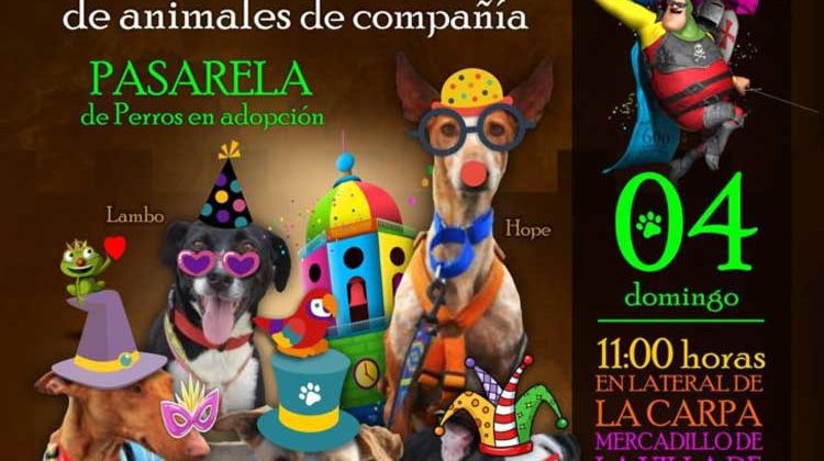 Carnaval Teguise, Costa Teguise y la Graciosa 2018