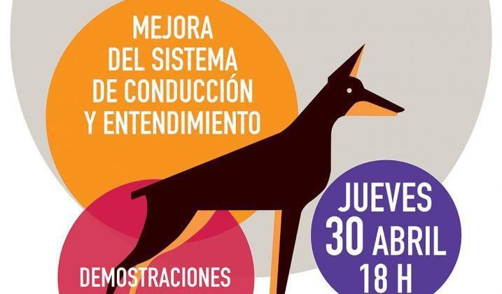 demostracion canina en lanzarote