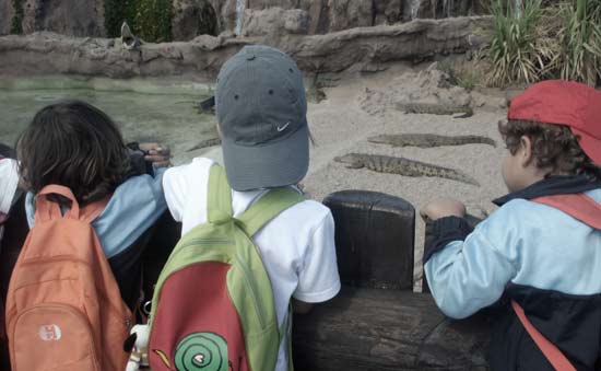 Rancho Texas, children looking at crocodiles, Lanzarote, Children's Areas