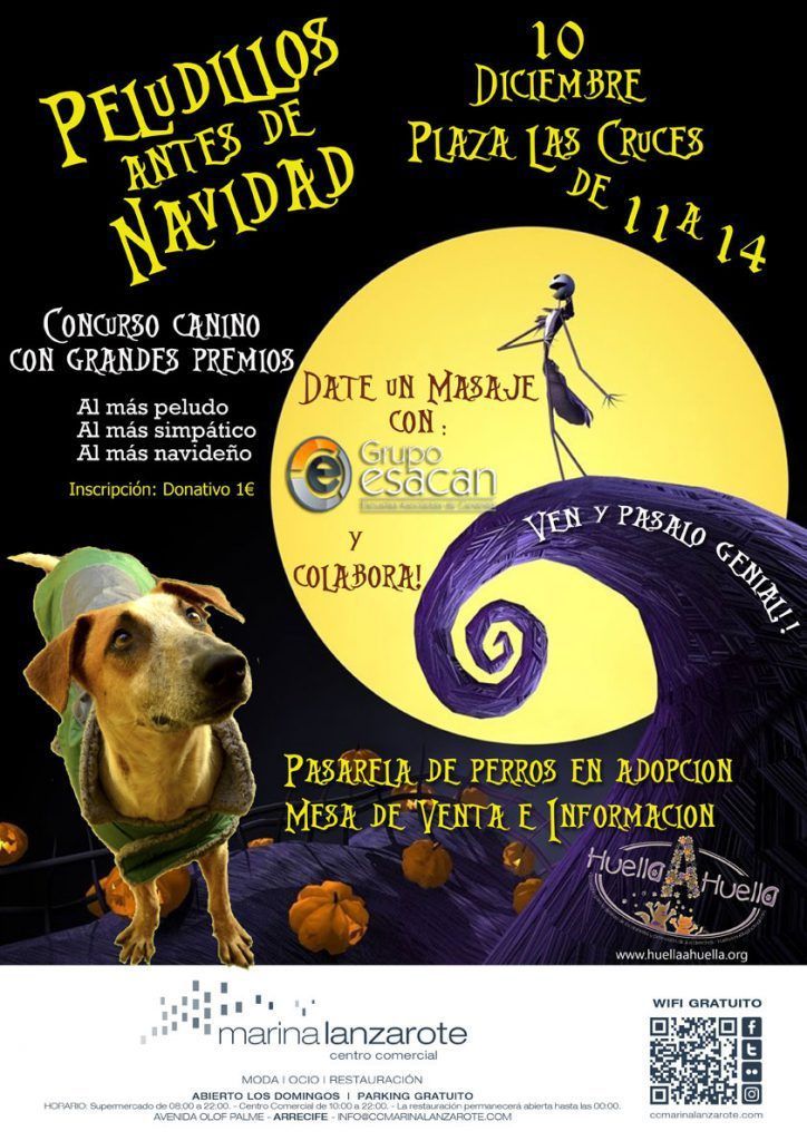 Contágiate del espíritu Navideño junto a tu peludo en Marina Lanzarote (Sábado, 10 de diciembre)