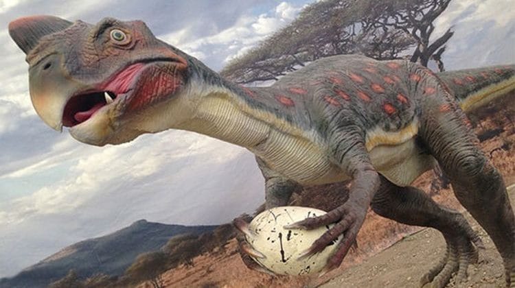 Exposición Jurásica en Lanzarote
