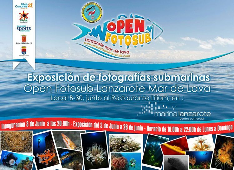 Exposicion en Marina Lanzarote Open photo sub