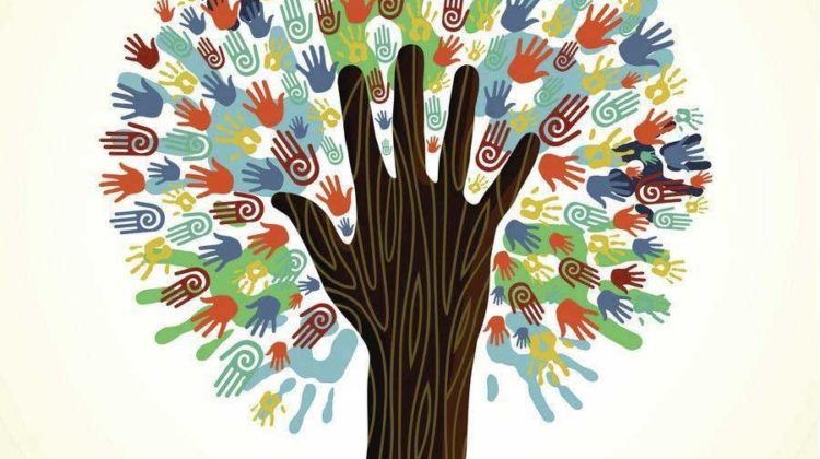 reiki solidario lanzarote